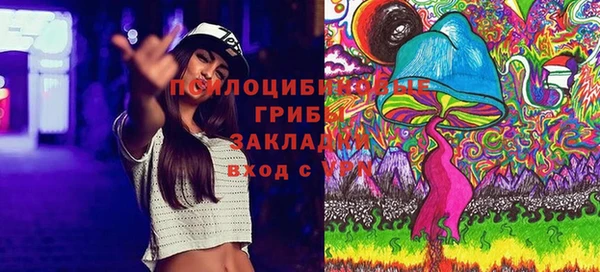 дурь Лагань