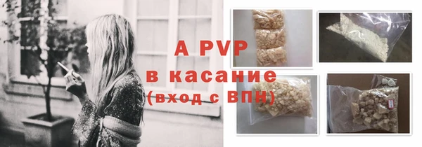 прущие грибы Липки