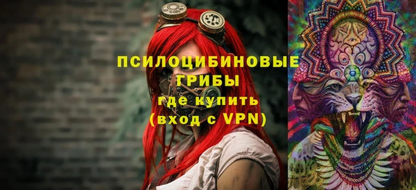 крисы Ладушкин