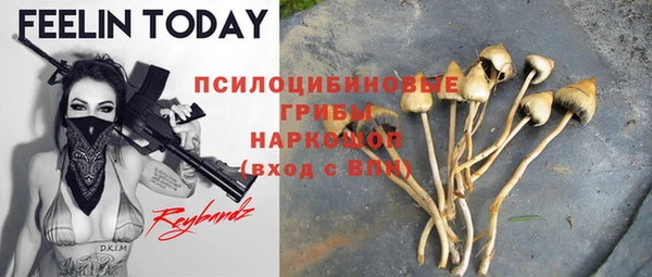 крисы Ладушкин