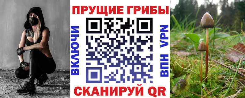 Галлюциногенные грибы GOLDEN TEACHER  Малоярославец 
