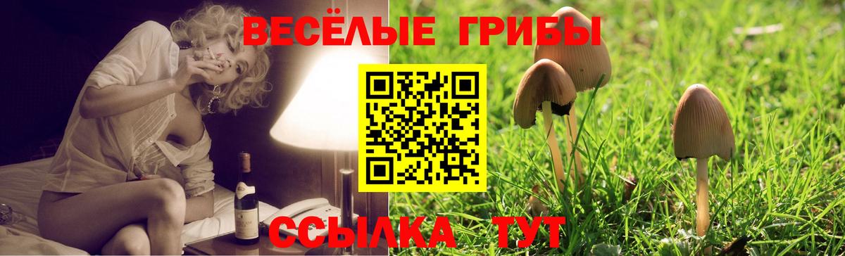 Псилоцибиновые грибы прущие грибы  Вход с VPN  Псилоцибиновые грибы Magic Shrooms  даркнет сайт  Малоярославец 
