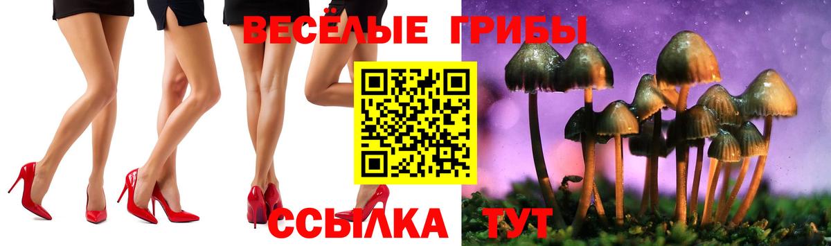 Псилоцибиновые грибы MAGIC MUSHROOMS Малоярославец